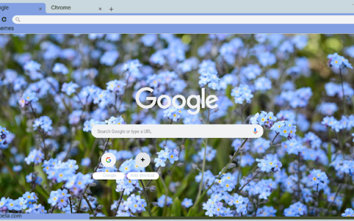 Forget Me Not from Chrome web store to be run with OffiDocs Chromium online Forget Me Not from Chrome web store to be run with OffiDocs Chromium online