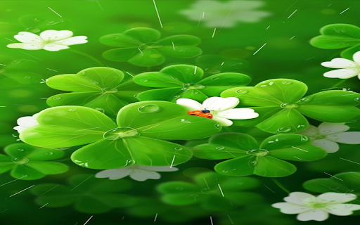 Four leaf clover and flowers wallpaper from Chrome web store to be run with OffiDocs Chromium online Four leaf clover and flowers wallpaper from Chrome web store to be run with OffiDocs Chromium online