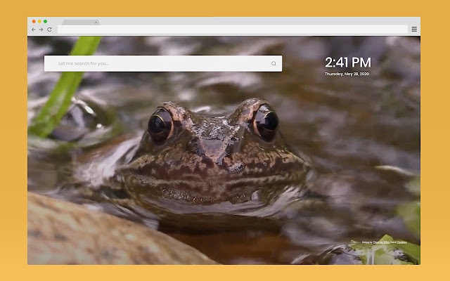 Frog Start Because cats are lame from Chrome web store to be run with OffiDocs Chromium online Frog Start Because cats are lame from Chrome web store to be run with OffiDocs Chromium online