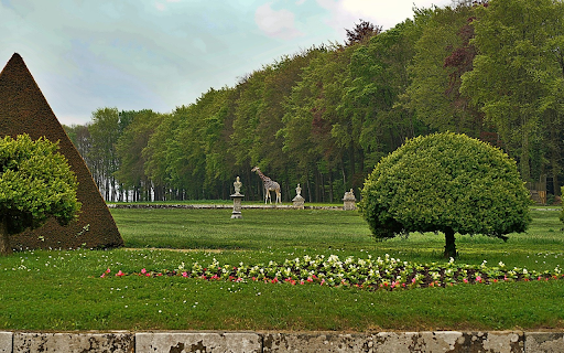 Giraffe in the park from Chrome web store to be run with OffiDocs Chromium online Giraffe in the park from Chrome web store to be run with OffiDocs Chromium online