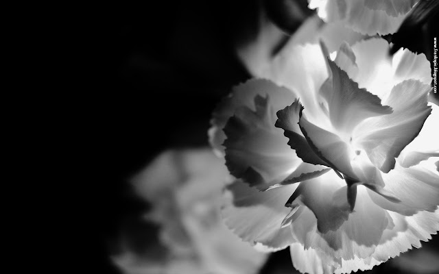 Glow Flower from Chrome web store to be run with OffiDocs Chromium online Glow Flower from Chrome web store to be run with OffiDocs Chromium online