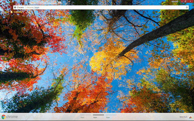 Gratifying Trees from Chrome web store to be run with OffiDocs Chromium online Gratifying Trees from Chrome web store to be run with OffiDocs Chromium online