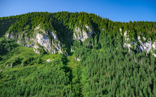Green forest green mountain from Chrome web store to be run with OffiDocs Chromium online Green forest green mountain from Chrome web store to be run with OffiDocs Chromium online