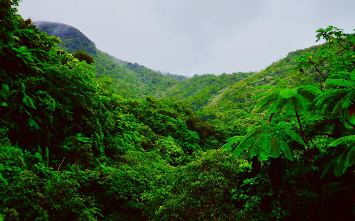Green nature from Chrome web store to be run with OffiDocs Chromium online Green nature from Chrome web store to be run with OffiDocs Chromium online