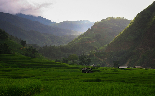 Green rice fields from Chrome web store to be run with OffiDocs Chromium online Green rice fields from Chrome web store to be run with OffiDocs Chromium online