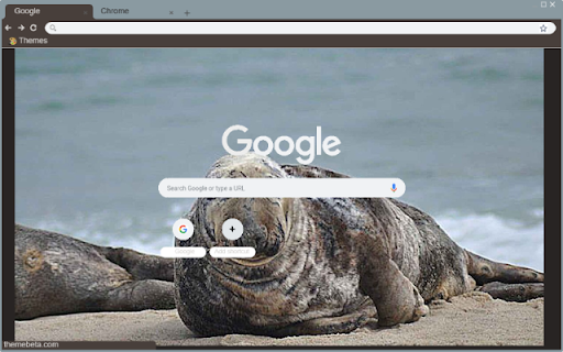 Hai cau xam from Chrome web store to be run with OffiDocs Chromium online Hai cau xam from Chrome web store to be run with OffiDocs Chromium online