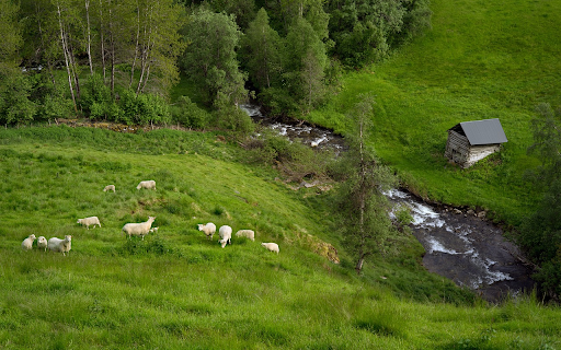 Herd of white goats from Chrome web store to be run with OffiDocs Chromium online Herd of white goats from Chrome web store to be run with OffiDocs Chromium online