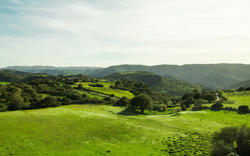 Hilly scene from Chrome web store to be run with OffiDocs Chromium online Hilly scene from Chrome web store to be run with OffiDocs Chromium online