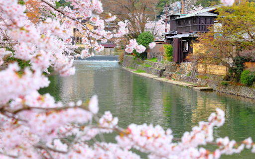 Introduction to the Cherry Blossoms by the River and House Theme from Chrome web store to be run with OffiDocs Chromium online Introduction to the Cherry Blossoms by the River and House Theme from Chrome web store to be run with OffiDocs Chromium online