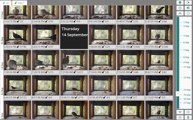 IP Camera Picture Browser from Chrome web store to be run with OffiDocs Chromium online IP Camera Picture Browser from Chrome web store to be run with OffiDocs Chromium online