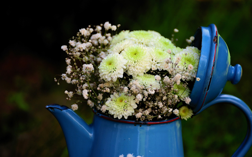 Kettle and flowers from Chrome web store to be run with OffiDocs Chromium online Kettle and flowers from Chrome web store to be run with OffiDocs Chromium online