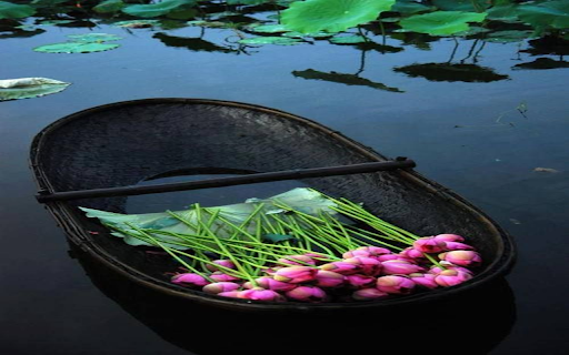 Lotus boat wallpaper from Chrome web store to be run with OffiDocs Chromium online Lotus boat wallpaper from Chrome web store to be run with OffiDocs Chromium online