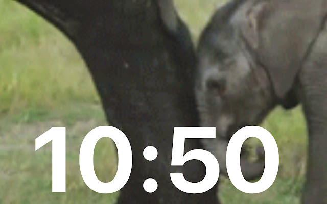 Made ya smile from Chrome web store to be run with OffiDocs Chromium online Made ya smile from Chrome web store to be run with OffiDocs Chromium online