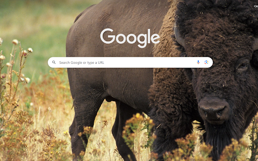 Majestic Bison from Chrome web store to be run with OffiDocs Chromium online Majestic Bison from Chrome web store to be run with OffiDocs Chromium online