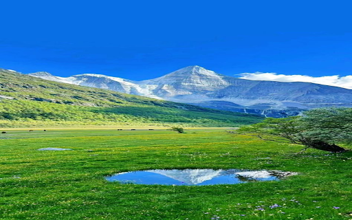 Majestic nature wallpapers from Chrome web store to be run with OffiDocs Chromium online Majestic nature wallpapers from Chrome web store to be run with OffiDocs Chromium online