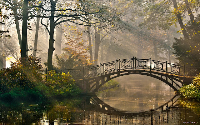Metal Bridge from Chrome web store to be run with OffiDocs Chromium online Metal Bridge from Chrome web store to be run with OffiDocs Chromium online