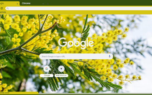 Mimosa from Chrome web store to be run with OffiDocs Chromium online Mimosa from Chrome web store to be run with OffiDocs Chromium online