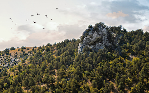 Mountains and hills and birds on the wing from Chrome web store to be run with OffiDocs Chromium online Mountains and hills and birds on the wing from Chrome web store to be run with OffiDocs Chromium online