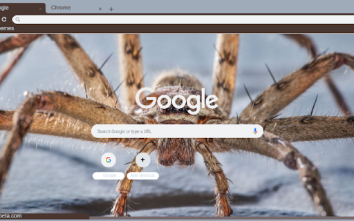 Nhen Da from Chrome web store to be run with OffiDocs Chromium online Nhen Da from Chrome web store to be run with OffiDocs Chromium online