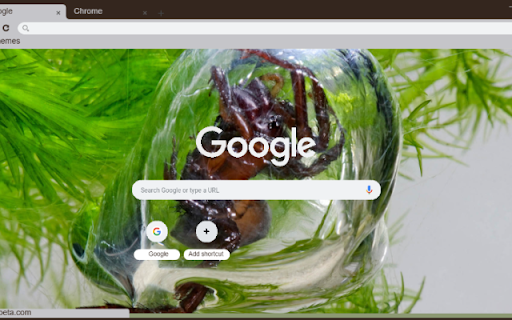 Nhen Nho from Chrome web store to be run with OffiDocs Chromium online Nhen Nho from Chrome web store to be run with OffiDocs Chromium online