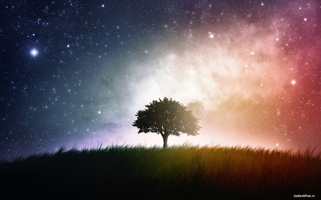 Night Tree from Chrome web store to be run with OffiDocs Chromium online Night Tree from Chrome web store to be run with OffiDocs Chromium online