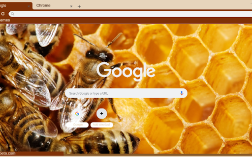 Ong Mat from Chrome web store to be run with OffiDocs Chromium online Ong Mat from Chrome web store to be run with OffiDocs Chromium online