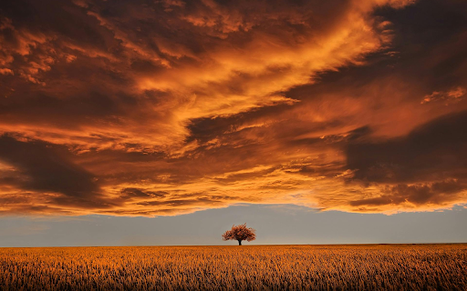 Open Field Under White Clouds and Blue Sky from Chrome web store to be run with OffiDocs Chromium online Open Field Under White Clouds and Blue Sky from Chrome web store to be run with OffiDocs Chromium online