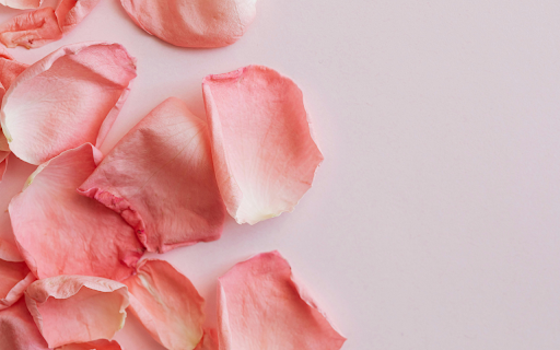 Orange Rose Petals from Chrome web store to be run with OffiDocs Chromium online Orange Rose Petals from Chrome web store to be run with OffiDocs Chromium online