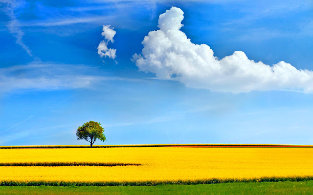 Palm Spring Weather April from Chrome web store to be run with OffiDocs Chromium online Palm Spring Weather April from Chrome web store to be run with OffiDocs Chromium online