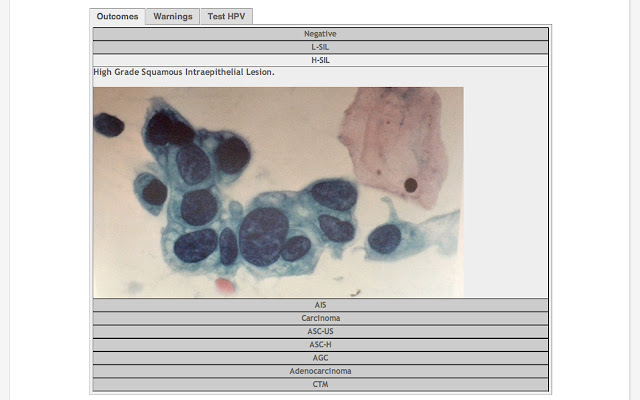 Pap Test from Chrome web store to be run with OffiDocs Chromium online Pap Test from Chrome web store to be run with OffiDocs Chromium online