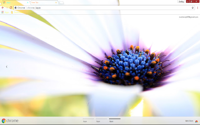Petal White Flower from Chrome web store to be run with OffiDocs Chromium online Petal White Flower from Chrome web store to be run with OffiDocs Chromium online