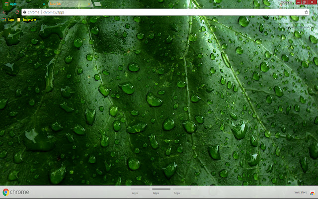 Plant Raindrops from Chrome web store to be run with OffiDocs Chromium online Plant Raindrops from Chrome web store to be run with OffiDocs Chromium online