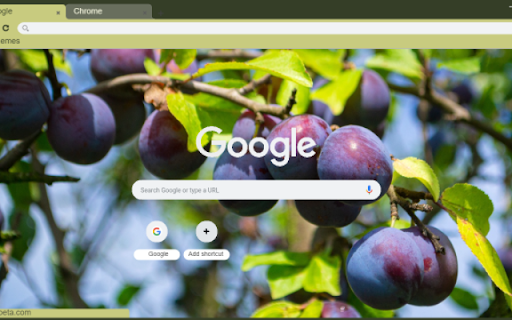 Plum from Chrome web store to be run with OffiDocs Chromium online Plum from Chrome web store to be run with OffiDocs Chromium online