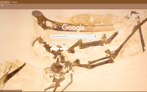 Pteranodon sternbergi from Chrome web store to be run with OffiDocs Chromium online Pteranodon sternbergi from Chrome web store to be run with OffiDocs Chromium online