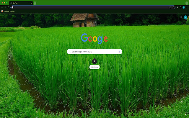 Quick Rice Purity New Tab from Chrome web store to be run with OffiDocs Chromium online Quick Rice Purity New Tab from Chrome web store to be run with OffiDocs Chromium online
