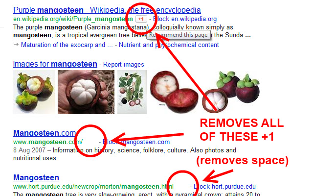 Remove Share (+1) from Google Search Results from Chrome web store to be run with OffiDocs Chromium online Remove Share (+1) from Google Search Results from Chrome web store to be run with OffiDocs Chromium online