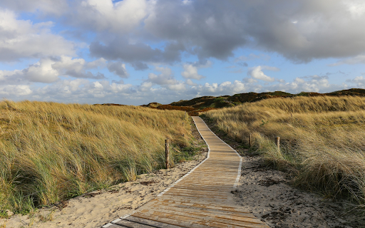 Road through the fields from Chrome web store to be run with OffiDocs Chromium online Road through the fields from Chrome web store to be run with OffiDocs Chromium online