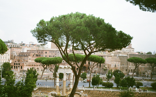 Roman Forum in Rome from Chrome web store to be run with OffiDocs Chromium online Roman Forum in Rome from Chrome web store to be run with OffiDocs Chromium online