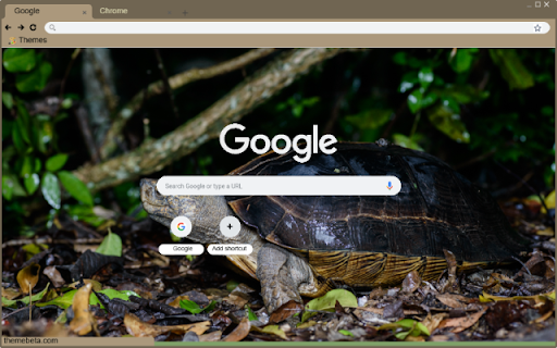 Rua dat from Chrome web store to be run with OffiDocs Chromium online Rua dat from Chrome web store to be run with OffiDocs Chromium online