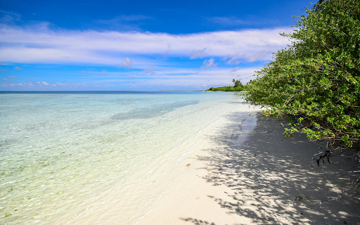 sea and sun from Chrome web store to be run with OffiDocs Chromium online sea and sun from Chrome web store to be run with OffiDocs Chromium online