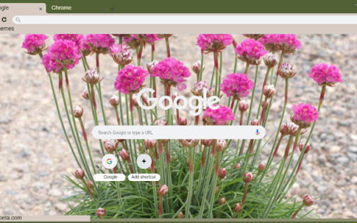 Sea Thrift from Chrome web store to be run with OffiDocs Chromium online Sea Thrift from Chrome web store to be run with OffiDocs Chromium online