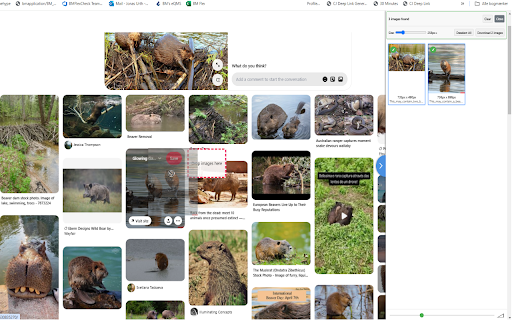 SnipSnap The ultimate selection tool from Chrome web store to be run with OffiDocs Chromium online SnipSnap The ultimate selection tool from Chrome web store to be run with OffiDocs Chromium online