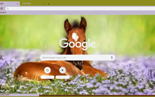 Spring Foal from Chrome web store to be run with OffiDocs Chromium online Spring Foal from Chrome web store to be run with OffiDocs Chromium online