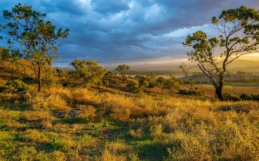 Sunny tree hills from Chrome web store to be run with OffiDocs Chromium online Sunny tree hills from Chrome web store to be run with OffiDocs Chromium online
