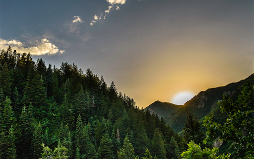 Sun Rising In The Big Forest At Cinego from Chrome web store to be run with OffiDocs Chromium online Sun Rising In The Big Forest At Cinego from Chrome web store to be run with OffiDocs Chromium online