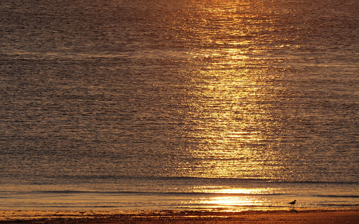 Sunset and Sea from Chrome web store to be run with OffiDocs Chromium online Sunset and Sea from Chrome web store to be run with OffiDocs Chromium online