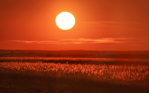 Sunset on the meadow from Chrome web store to be run with OffiDocs Chromium online Sunset on the meadow from Chrome web store to be run with OffiDocs Chromium online