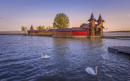 Swan and house on the lake from Chrome web store to be run with OffiDocs Chromium online Swan and house on the lake from Chrome web store to be run with OffiDocs Chromium online