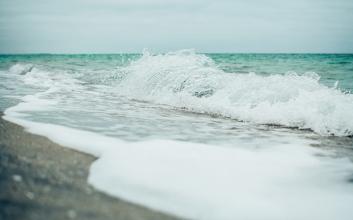 The beach shore from Chrome web store to be run with OffiDocs Chromium online The beach shore from Chrome web store to be run with OffiDocs Chromium online