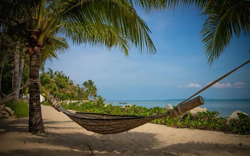 The hammock from Chrome web store to be run with OffiDocs Chromium online The hammock from Chrome web store to be run with OffiDocs Chromium online